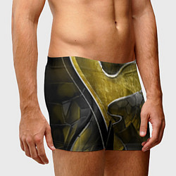 Трусы-боксеры мужские Золотой треугольник, цвет: 3D-принт — фото 2