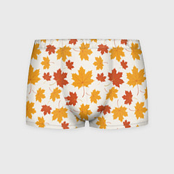 Мужские трусы Осень Autumn