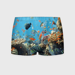 Трусы-боксеры мужские Коралловые рыбки, цвет: 3D-принт
