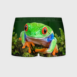 Трусы-боксеры мужские Тропическая лягушка, цвет: 3D-принт