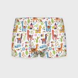 Мужские трусы Ламы