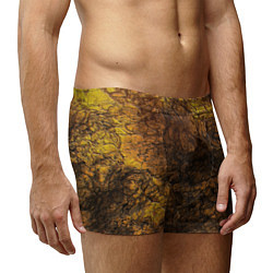 Трусы-боксеры мужские Абстрактный узор текстура, цвет: 3D-принт — фото 2