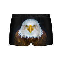 Трусы-боксеры мужские Белоголовый орлан, цвет: 3D-принт
