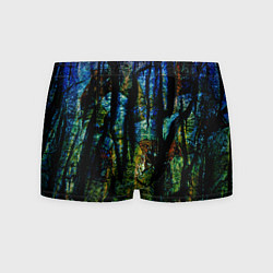 Мужские трусы Разноцветная гора