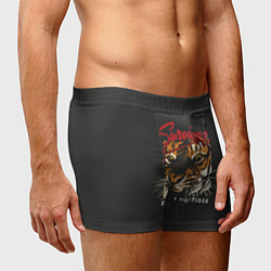 Трусы-боксеры мужские Глаз Тигра, цвет: 3D-принт — фото 2