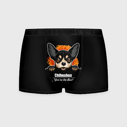 Трусы-боксеры мужские Чихуахуа Chihuahua, цвет: 3D-принт