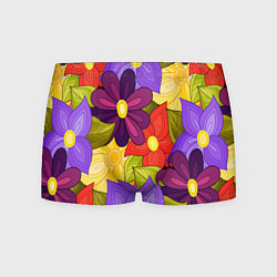 Мужские трусы MULTICOLORED PANSIES