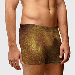 Трусы-боксеры мужские Золотая пыль, цвет: 3D-принт — фото 2