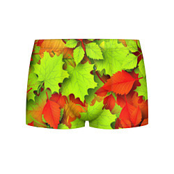Трусы-боксеры мужские Зелёные осенние листья, цвет: 3D-принт