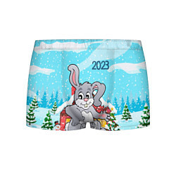Трусы-боксеры мужские Кролик 2023 новый год, цвет: 3D-принт