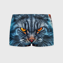 Мужские трусы Angry cat