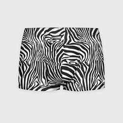Трусы-боксеры мужские Шкура зебры черно - белая графика, цвет: 3D-принт