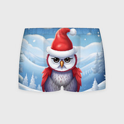 Трусы-боксеры мужские Зимний совенок в шапочке, цвет: 3D-принт