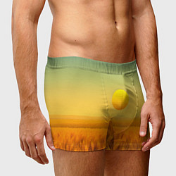 Трусы-боксеры мужские Закат над пшеничным полем, цвет: 3D-принт — фото 2