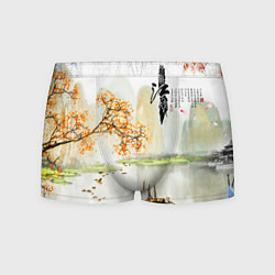 Мужские трусы China Landscape