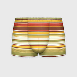 Мужские трусы Горизонтальные полосы