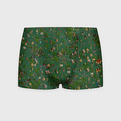 Трусы-боксеры мужские Земли Крепости - Герои 3, цвет: 3D-принт