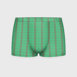 Трусы-боксеры мужские Color green cage brown stripes, цвет: 3D-принт