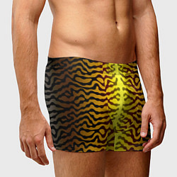 Трусы-боксеры мужские Скумбрия желтая, цвет: 3D-принт — фото 2