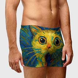 Трусы-боксеры мужские Мемный кот в стиле Ван Гога, цвет: 3D-принт — фото 2