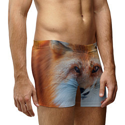 Трусы-боксеры мужские Взгляд лисы, цвет: 3D-принт — фото 2