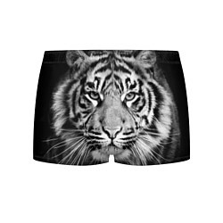 Трусы-боксеры мужские Красавец тигр цвета 3D-принт — фото 1