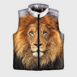 Мужской жилет Красавец лев, цвет: 3D-черный
