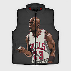 Мужской жилет Bulls 23: Jordan, цвет: 3D-красный