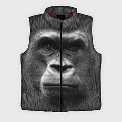 Мужской жилет Взгляд, цвет: 3D-красный