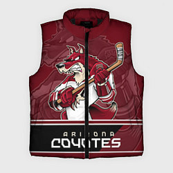 Мужской жилет Arizona Coyotes, цвет: 3D-черный