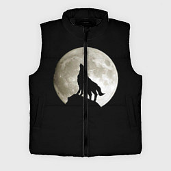 Мужской жилет Moon Wolf, цвет: 3D-черный