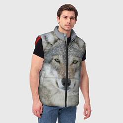 Мужской жилет Милый волк, цвет: 3D-красный — фото 2