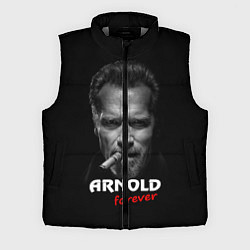 Мужской жилет Arnold forever, цвет: 3D-светло-серый