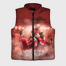 Мужской жилет Manchester United, цвет: 3D-красный