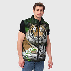Мужской жилет Тигр в джунглях, цвет: 3D-черный — фото 2