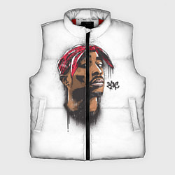 Мужской жилет 2Pac, цвет: 3D-красный