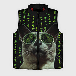 Мужской жилет Кот в матрице, цвет: 3D-красный