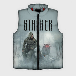 Мужской жилет STALKER: Dusk, цвет: 3D-красный