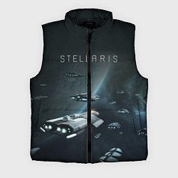 Мужской жилет Stellaris