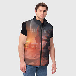 Мужской жилет Stellaris, цвет: 3D-черный — фото 2