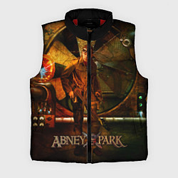 Мужской жилет Abney Park, цвет: 3D-красный
