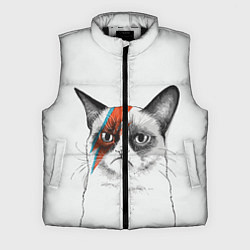 Мужской жилет David Bowie: Grumpy cat, цвет: 3D-черный