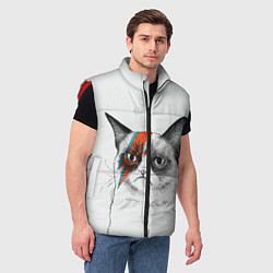 Мужской жилет David Bowie: Grumpy cat, цвет: 3D-красный — фото 2