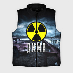 Мужской жилет S.T.A.L.K.E.R: Дима, цвет: 3D-черный