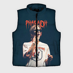 Мужской жилет Pharaoh, цвет: 3D-черный