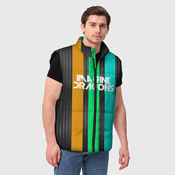 Мужской жилет Imagine Dragons: Evolve Lines, цвет: 3D-черный — фото 2