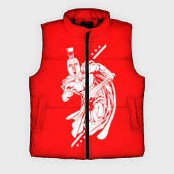 Мужской жилет Спартанский гладиатор, цвет: 3D-черный