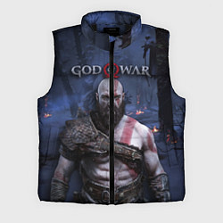 Мужской жилет God of War: Kratos, цвет: 3D-черный
