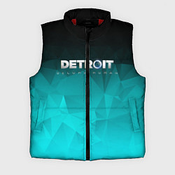 Мужской жилет Detroit: Become Human, цвет: 3D-красный