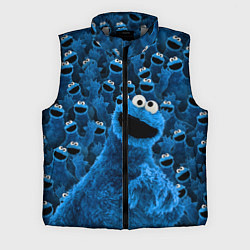 Мужской жилет Безумие коржика